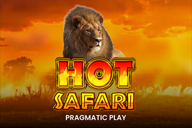 Hot Safari