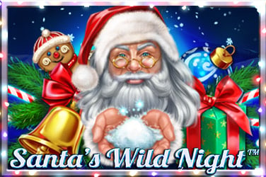 Santa’s Wild Night