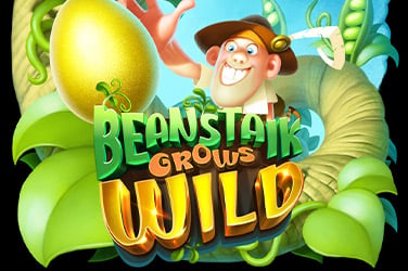 Beanstalk Grows Wild