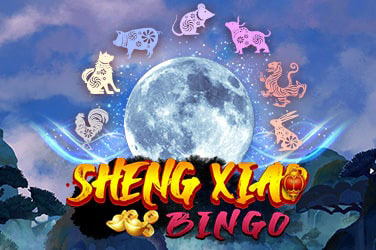 Sheng Xiao Bingo